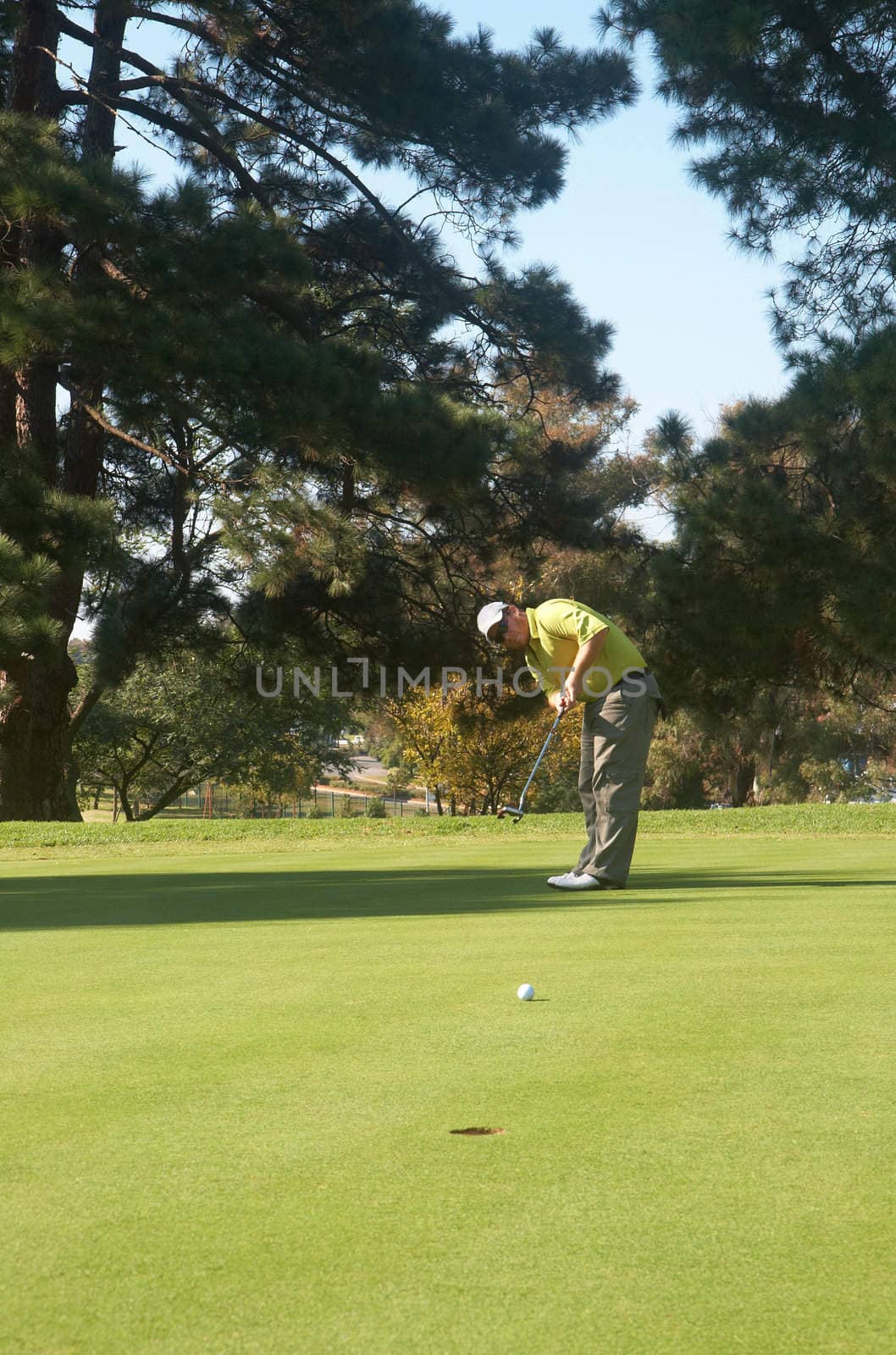 Young male golfer hitting the ball on the putting green on a beautiful summer day