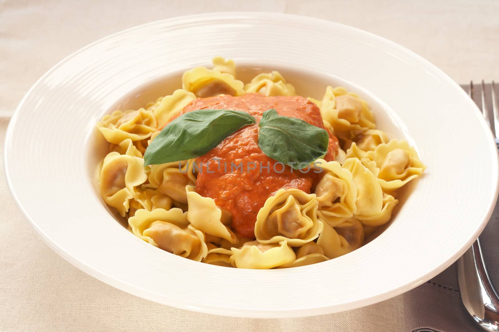 Plate of Italian bolognese tortelloni, fresh egg pasta made with durum wheat, with creamy tomato sauce and fresh basil leaves