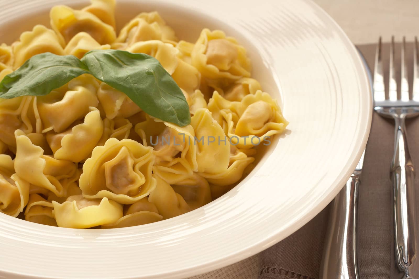 Plate of Italian bolognese tortelloni, fresh egg pasta made with durum wheat, with fresh basil leaves