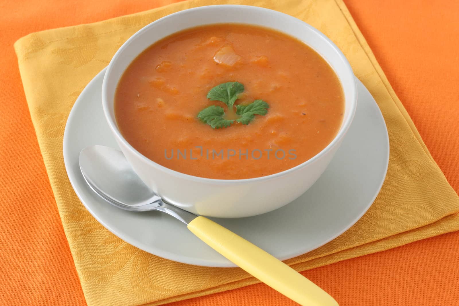 pumpkin soup by nataliamylova