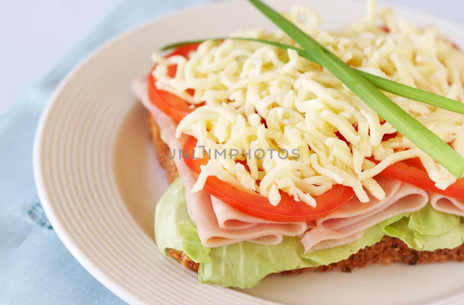 Tasty smoked ham, tomato and mozzarella cheese sandwich on wholewheat bread