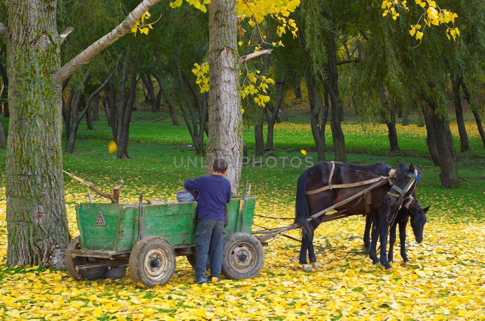 boy cares after the horse in the autumn forest