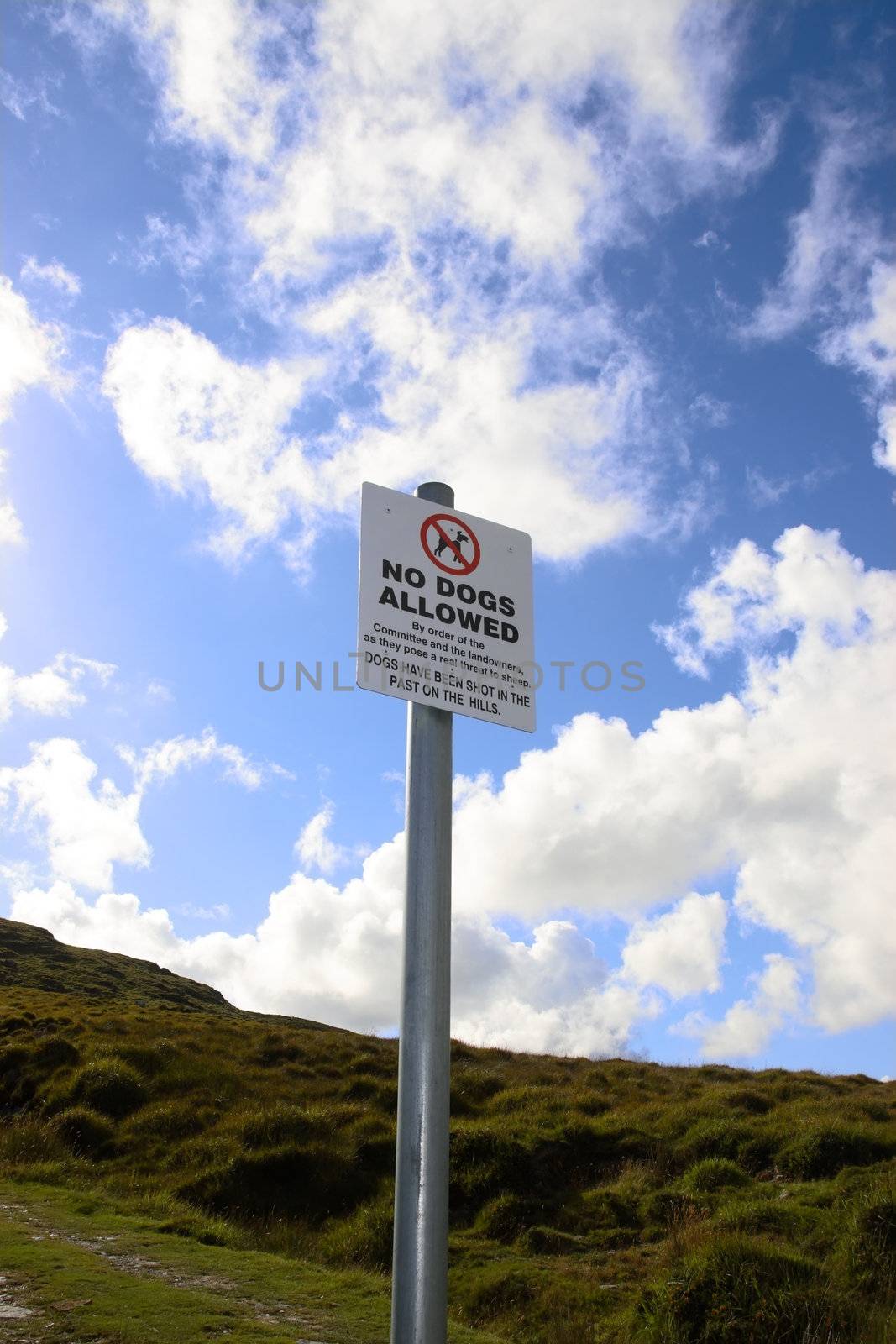 a no dogs allowed sign on a sheep farmers land