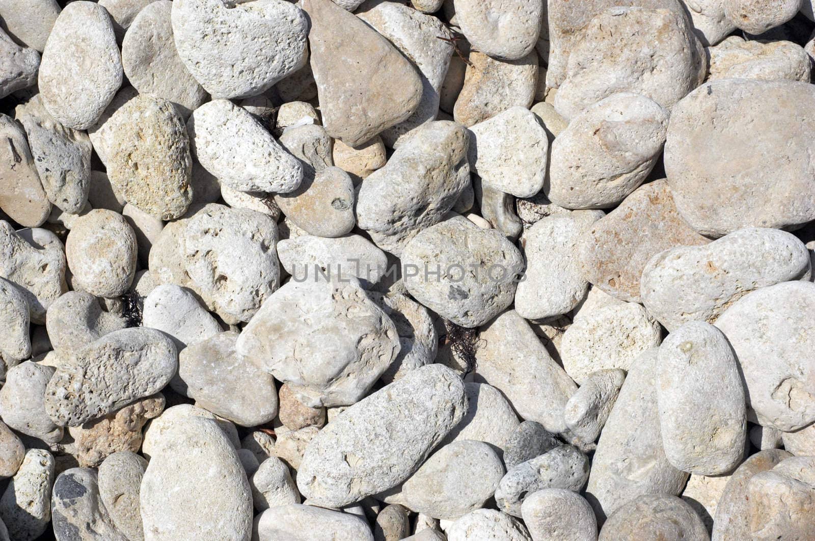 limestone pebbles on the beach under bright sun. texture. 