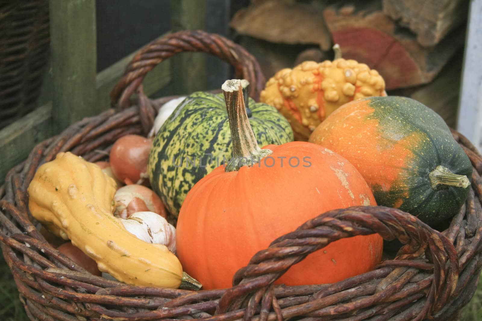 Pumpkins in a crate.