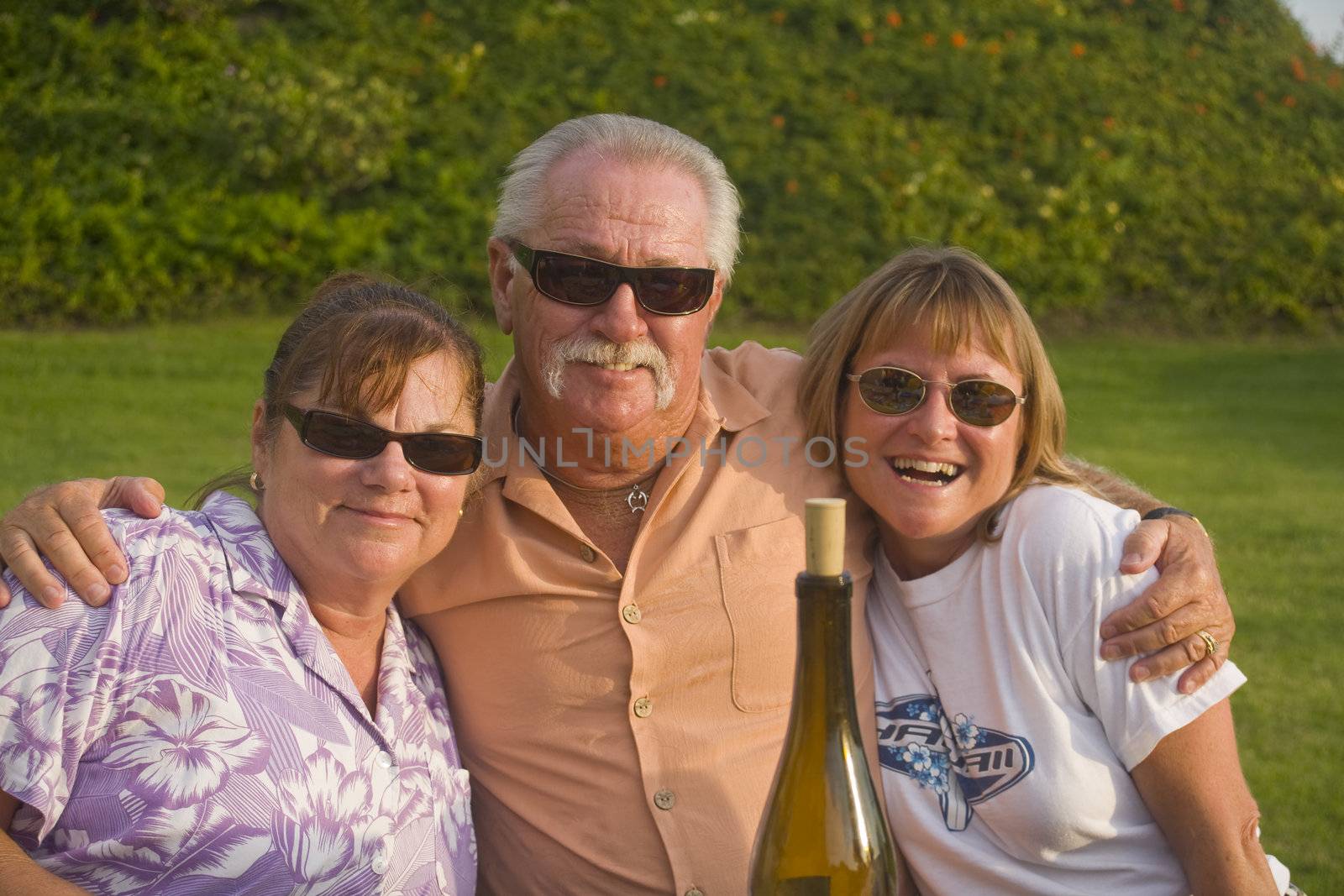 Friends enjoy an outdoor Picnic and a Bottle of Wine