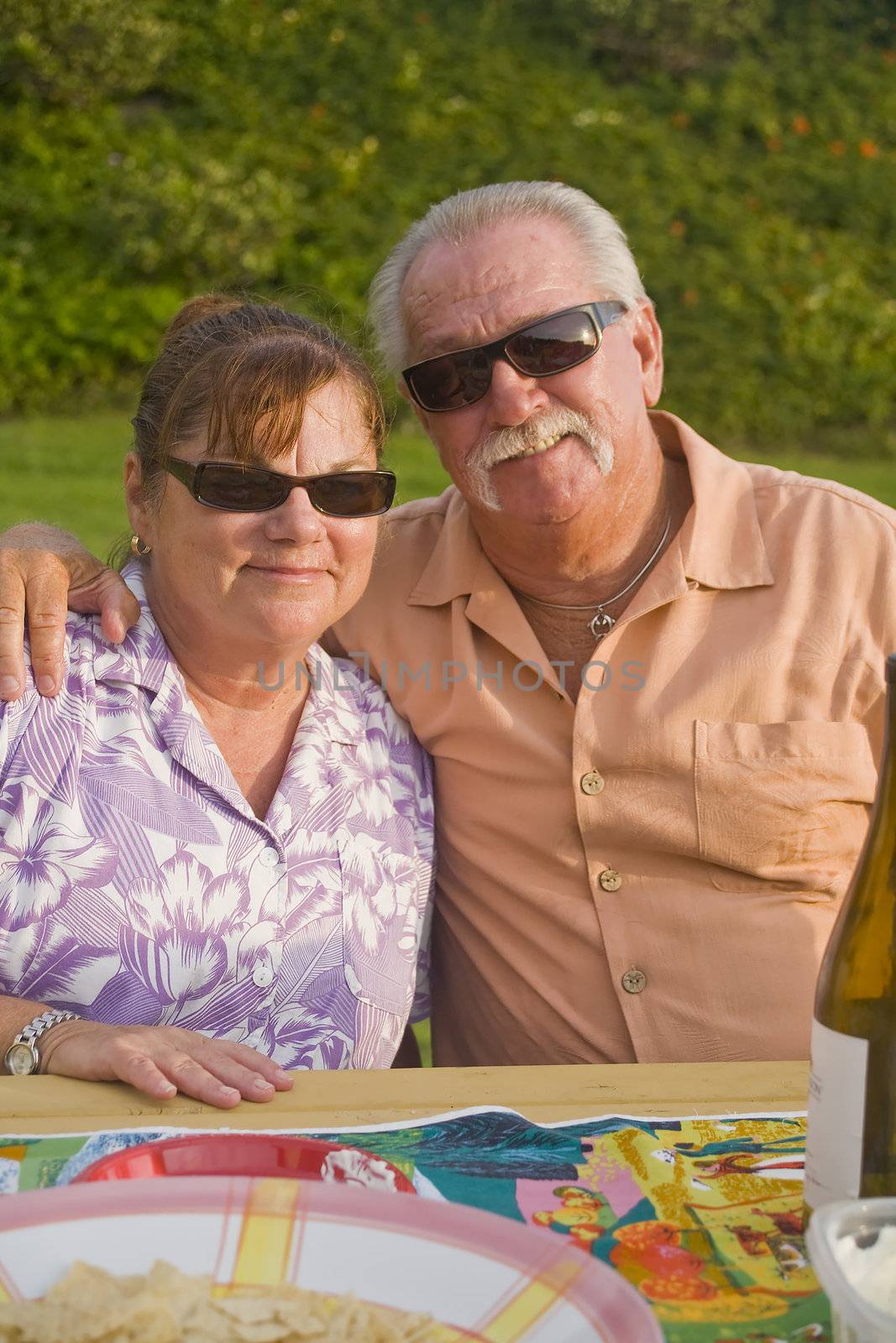 Senior Couple enjoys a Picnic outdoors Vertical Orientation