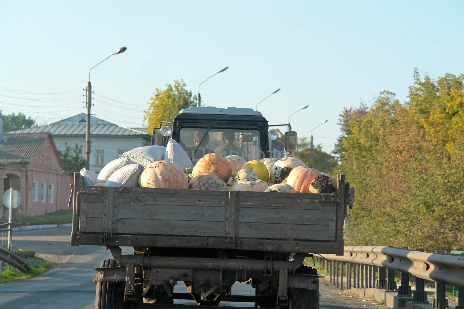 Farmers transport pumpkins by the small lorry                               