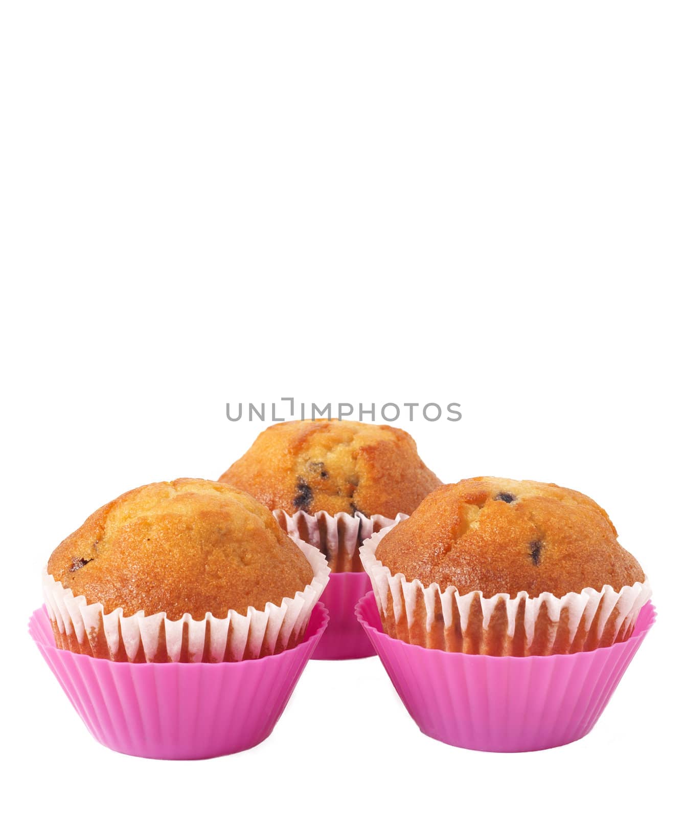 Fresh blueberry muffins in pink cups isolated on white background