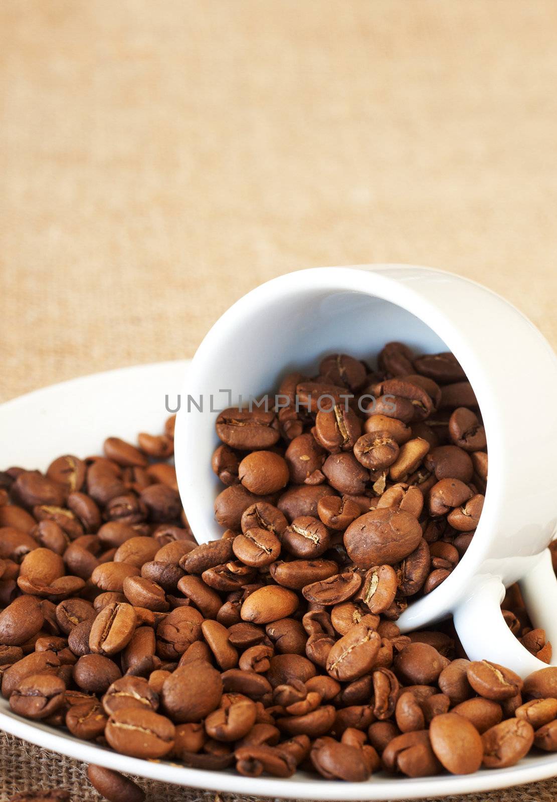 Small espresso cup filled with roasted coffee beans