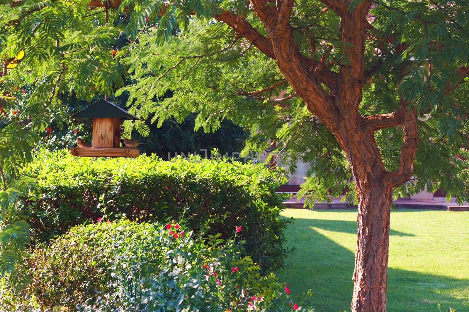 Beautiful green garden landscape on a summer day