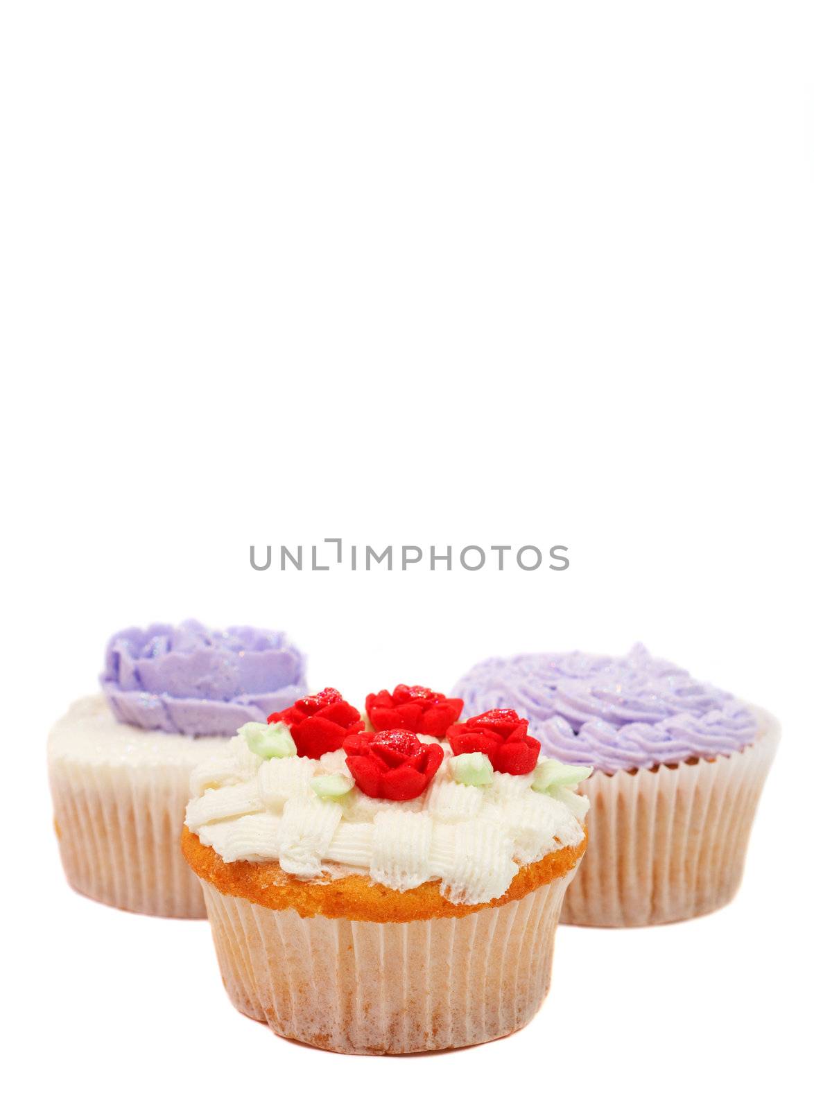 Variety of vanilla cupcakes with various buttercream decorations on white background