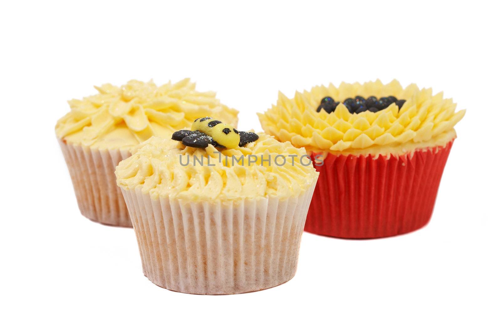 Variety of vanilla cupcakes with various buttercream decorations on white background