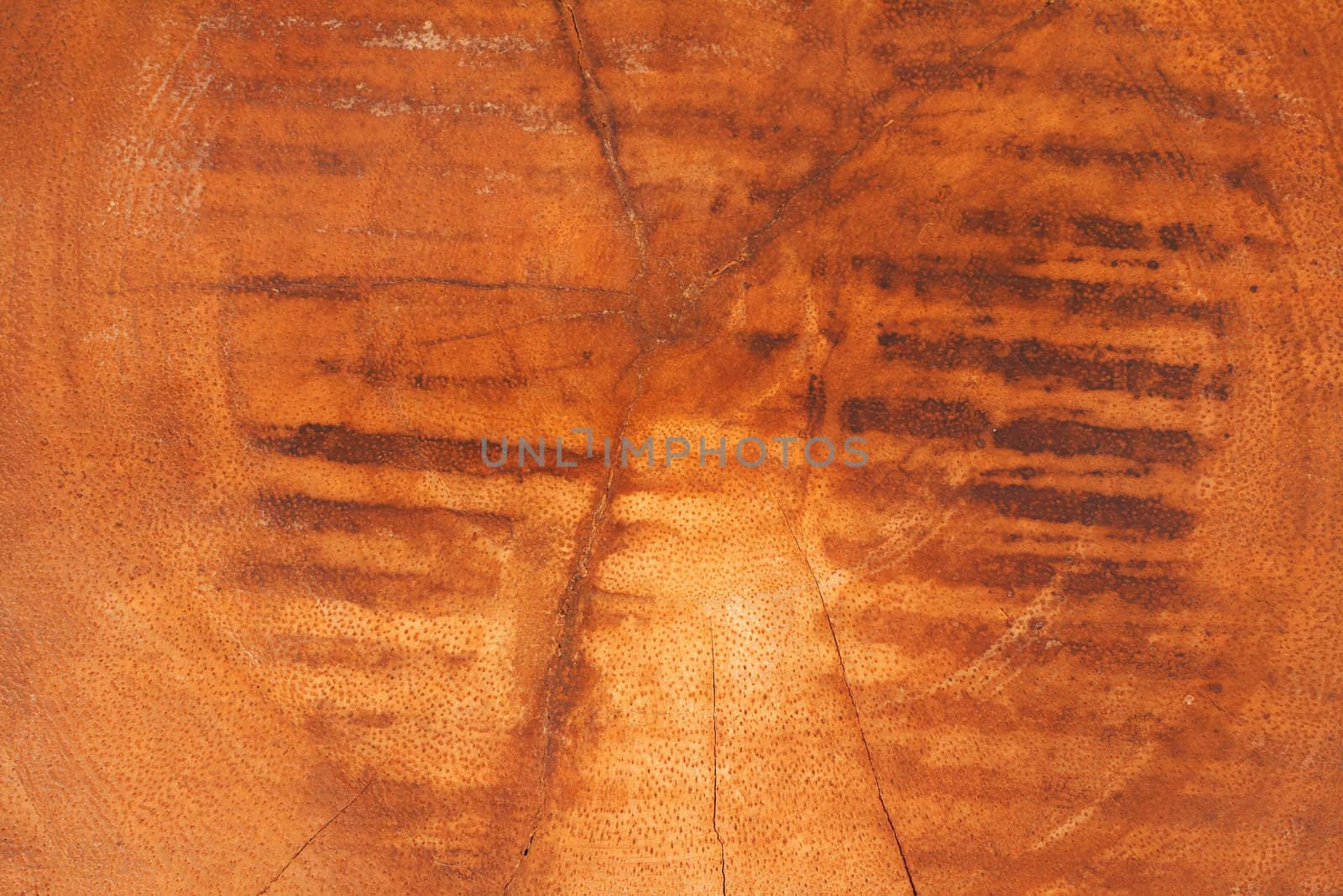 Natural wood texture - can be used as a background