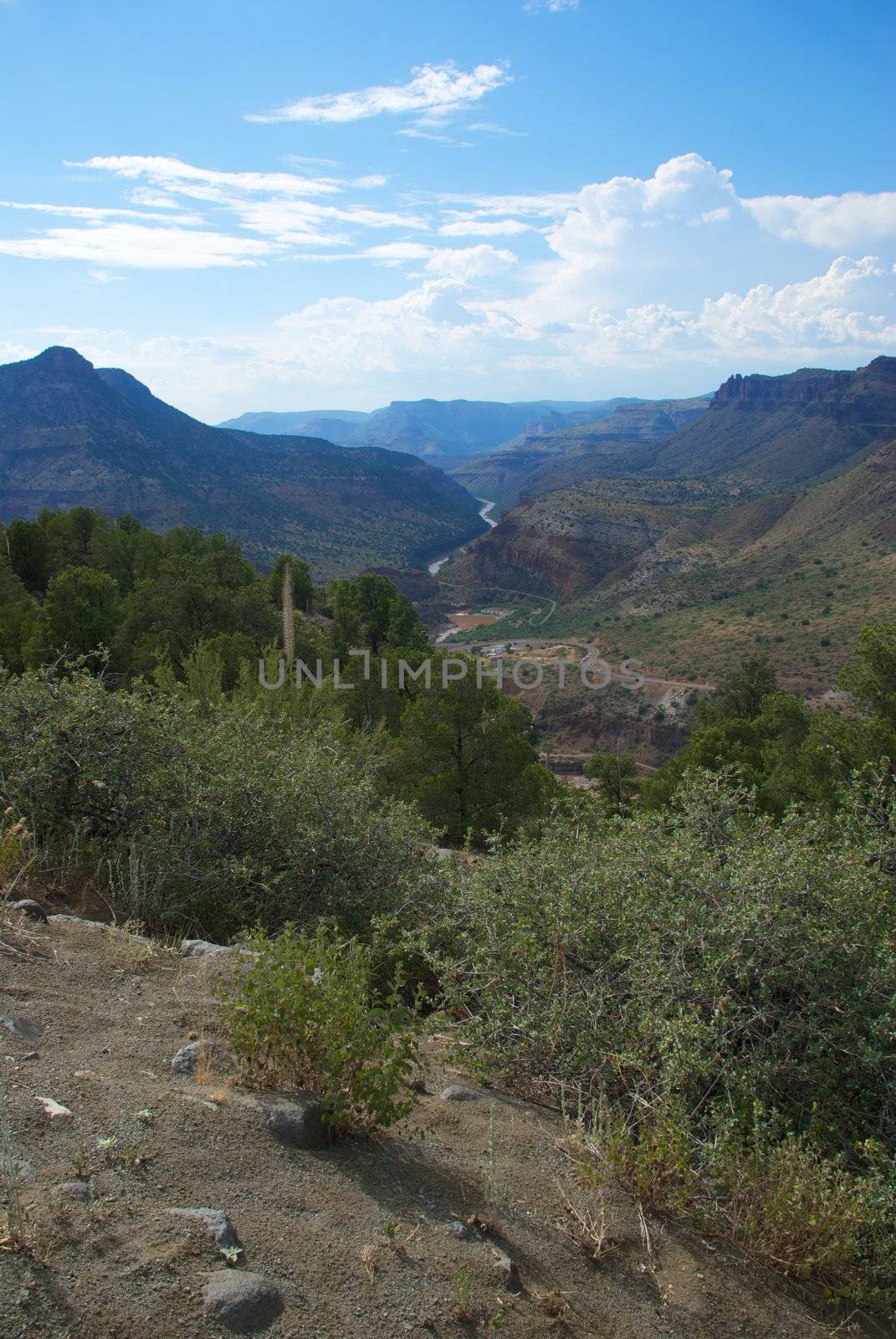 A beautiful desert canyon with a river running through it and a blue sky with white clouds and green plants