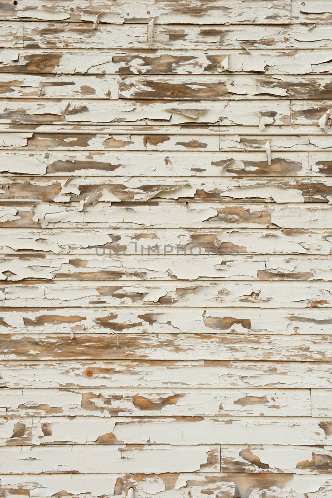 Old Wood with Peeling Antique White Paint by pixelsnap