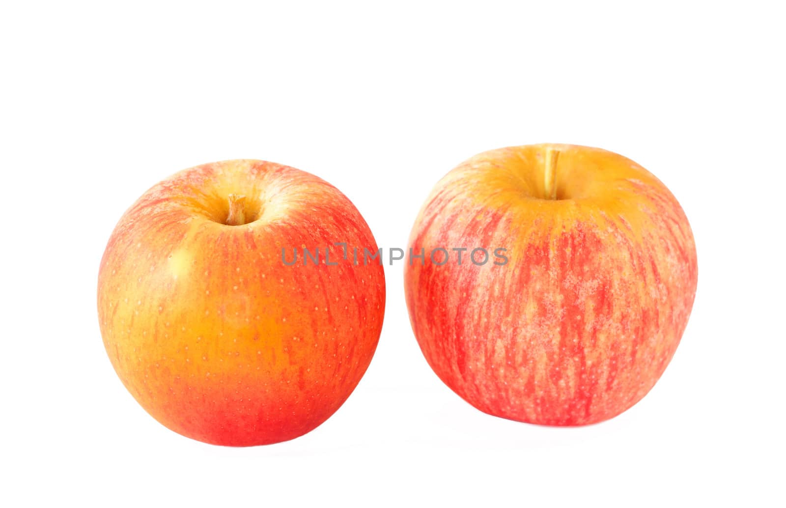 Two ripe organic apples on white background