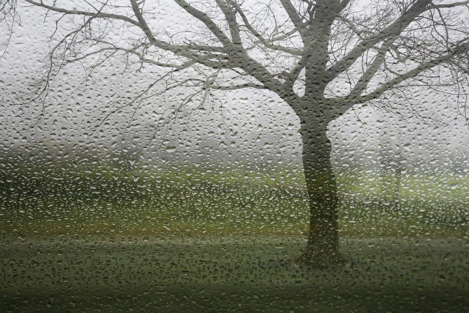 A rainy winter day seen through a wet window , Denmark.