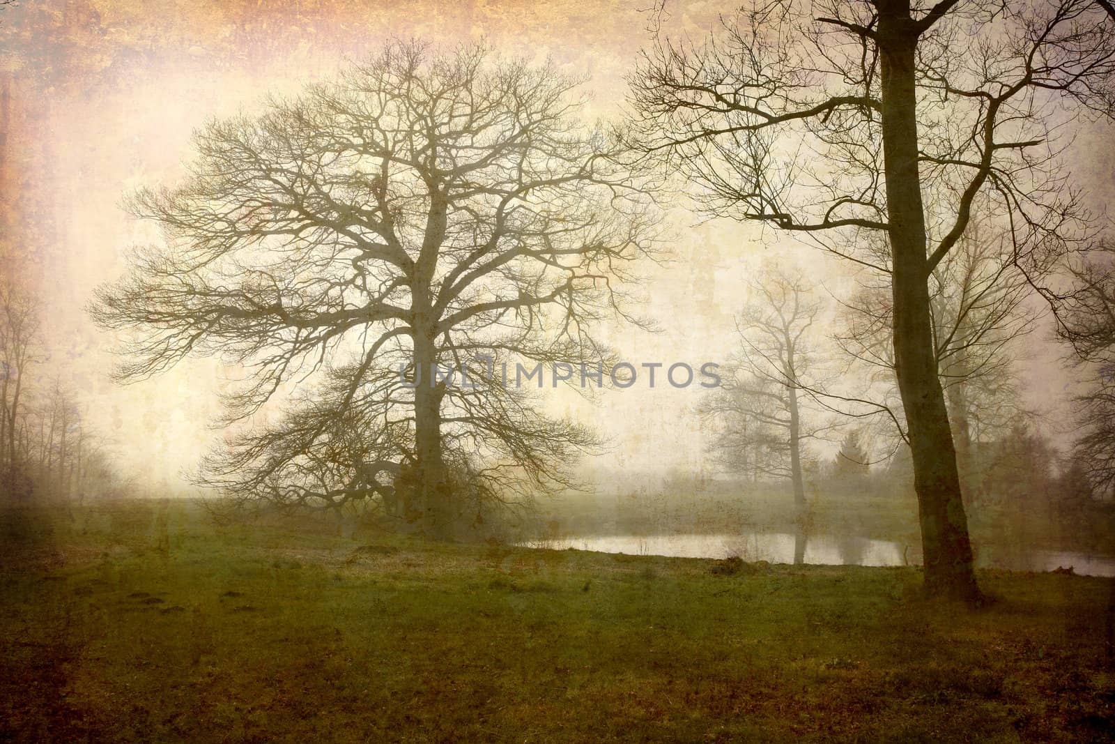 Artistic work of my own in retro style - Postcard from Denmark. - Misty winter morning. More of my images worked together to reflect age and time.