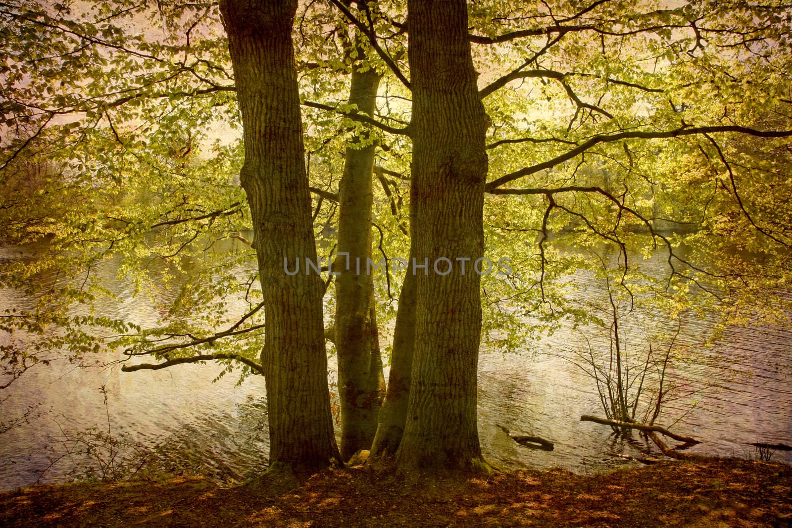 Artistic work of my own in retro style - Postcard from Denmark. - Morning by the lake. More of my images worked together to reflect age and time.