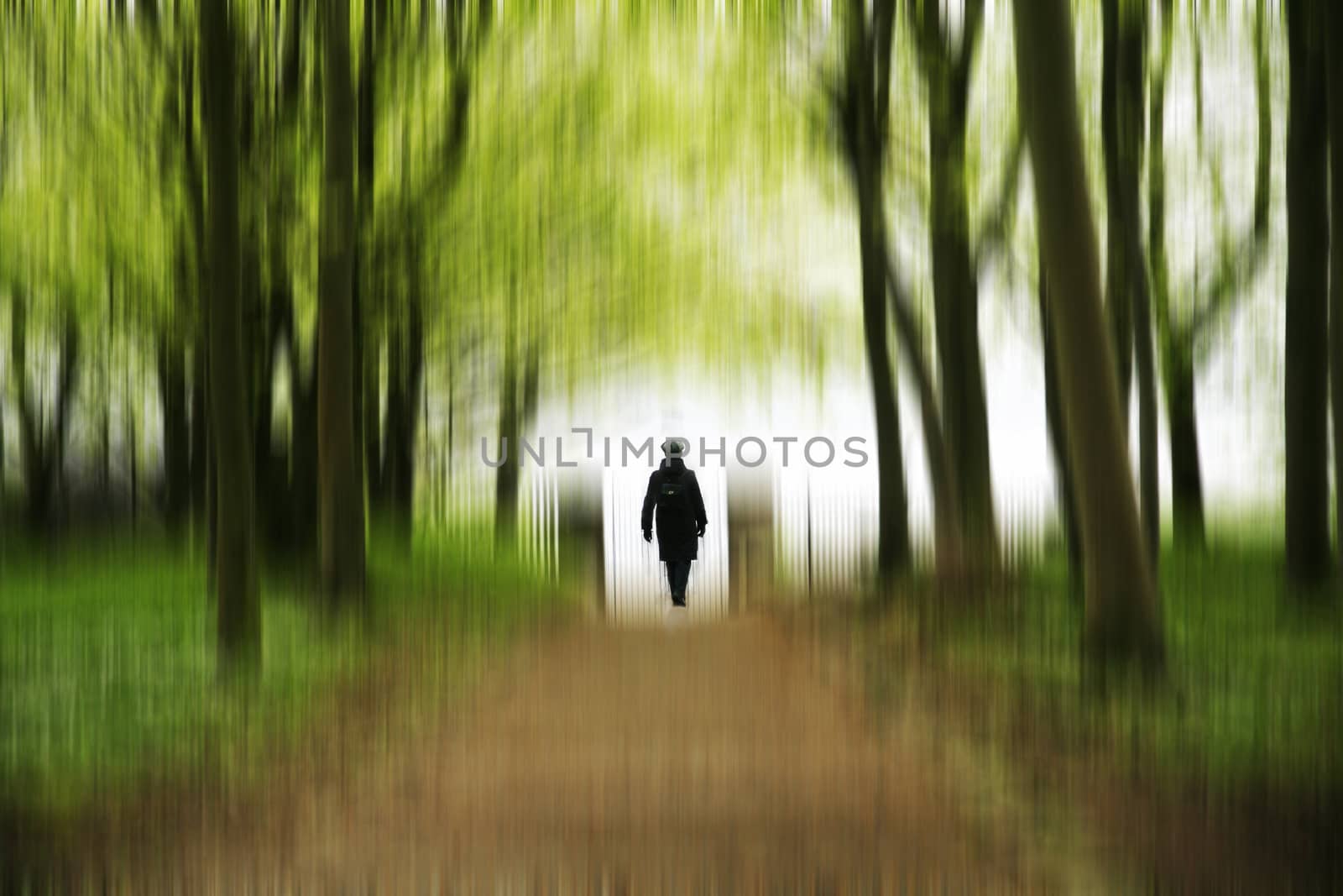 Active senior female walking in beautiful park at springtime toward the light.