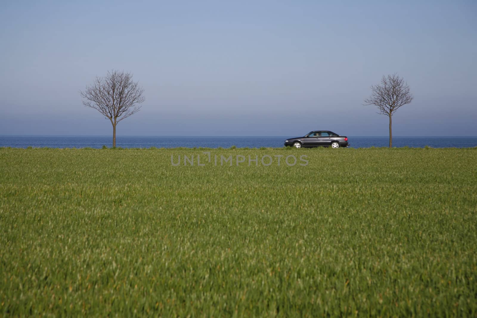 Car in spring landscape by ABCDK