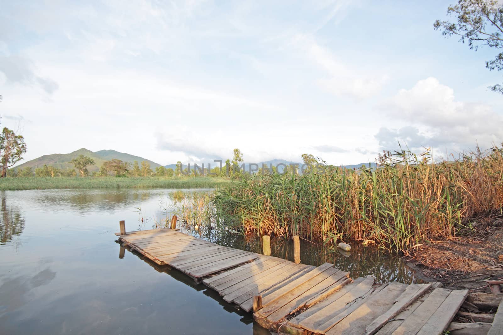 Jetty on lake at day