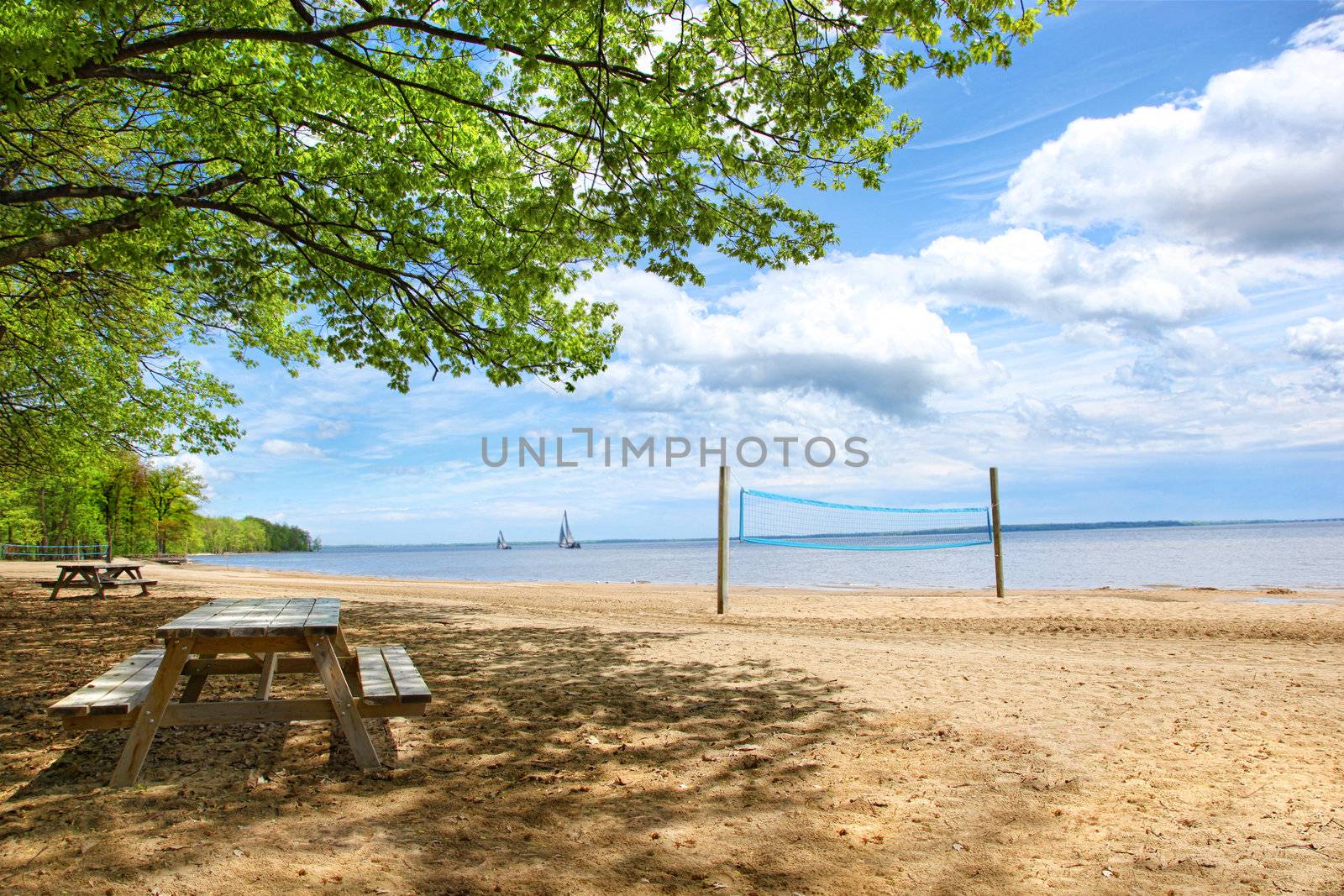 Picnic tables at the beach on a beautiful sunny day