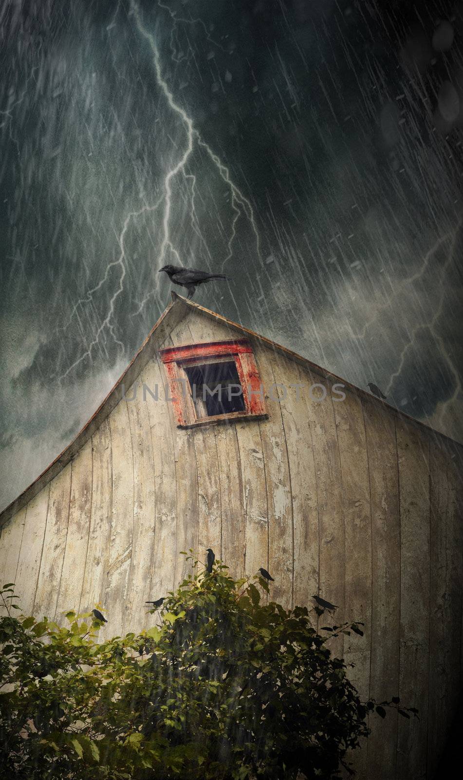 Spooky old barn with crows on a stormy night by Sandralise