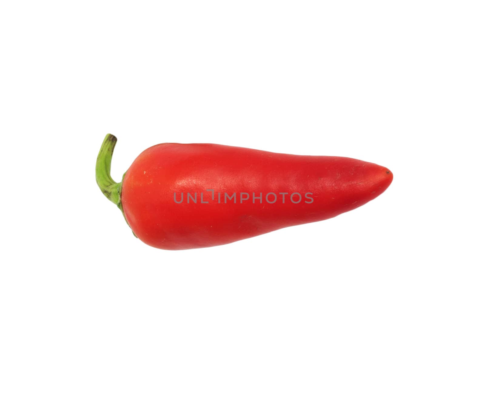 red chilly 
