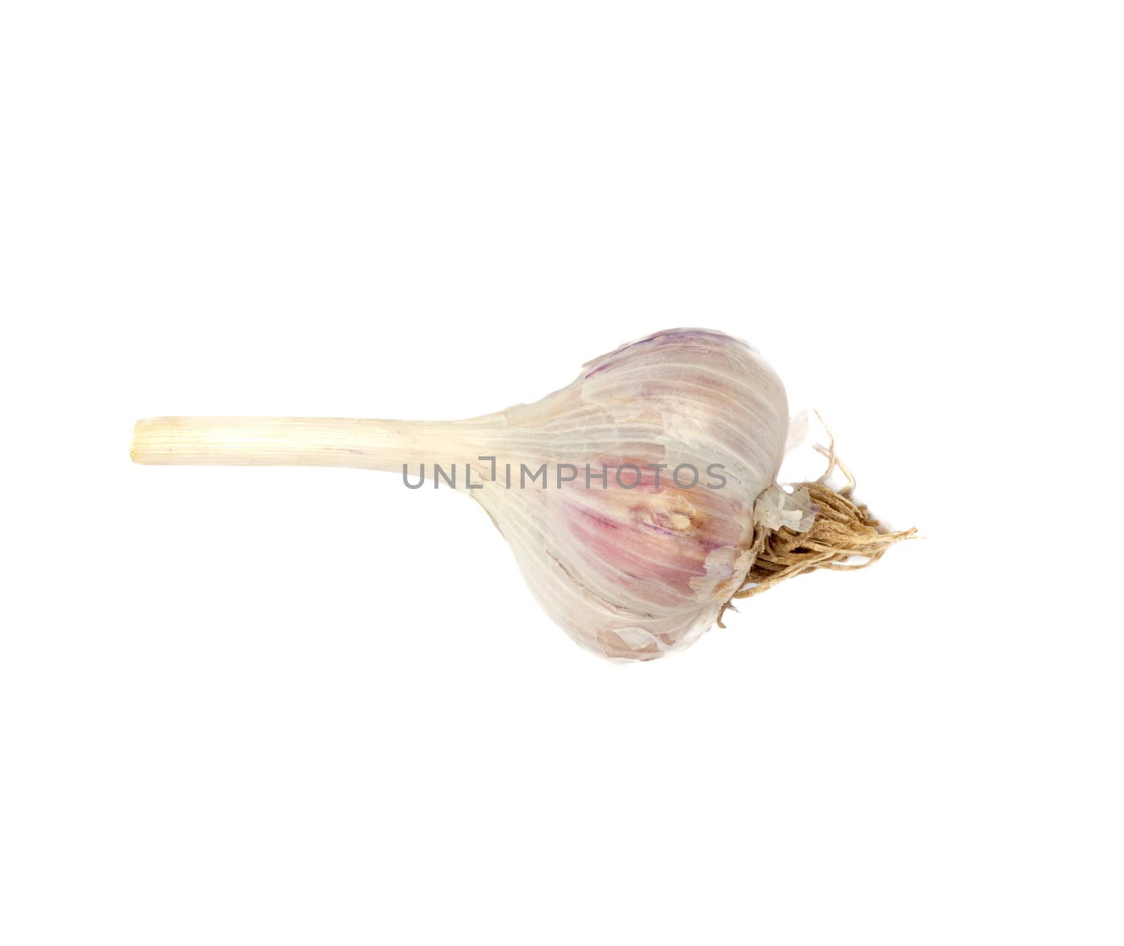 garlic isolated on white background 