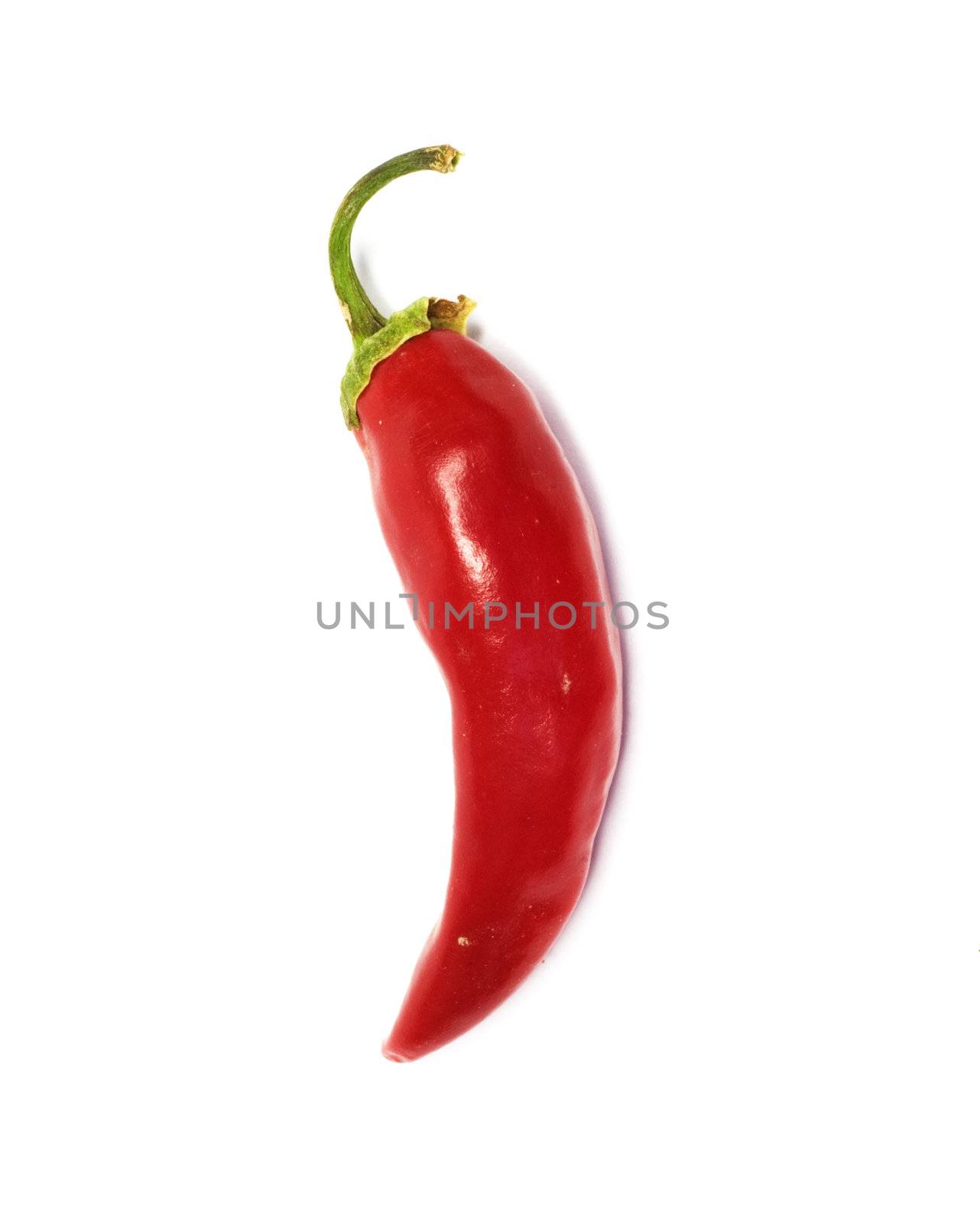 red chilly 