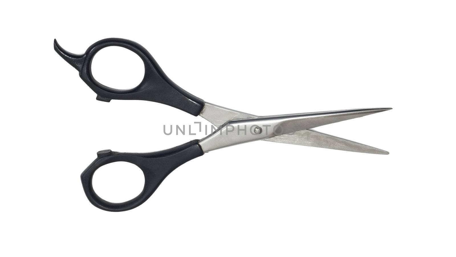 Professional Haircutting Scissors. Studio isolation on white.  by schankz