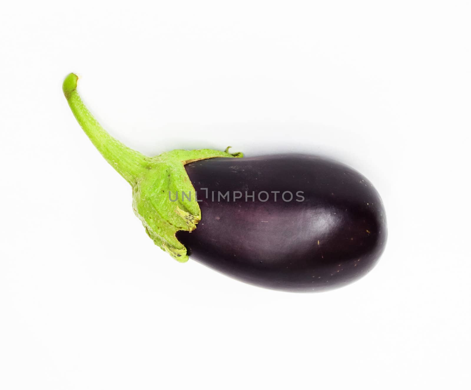 Eggplant on white background 