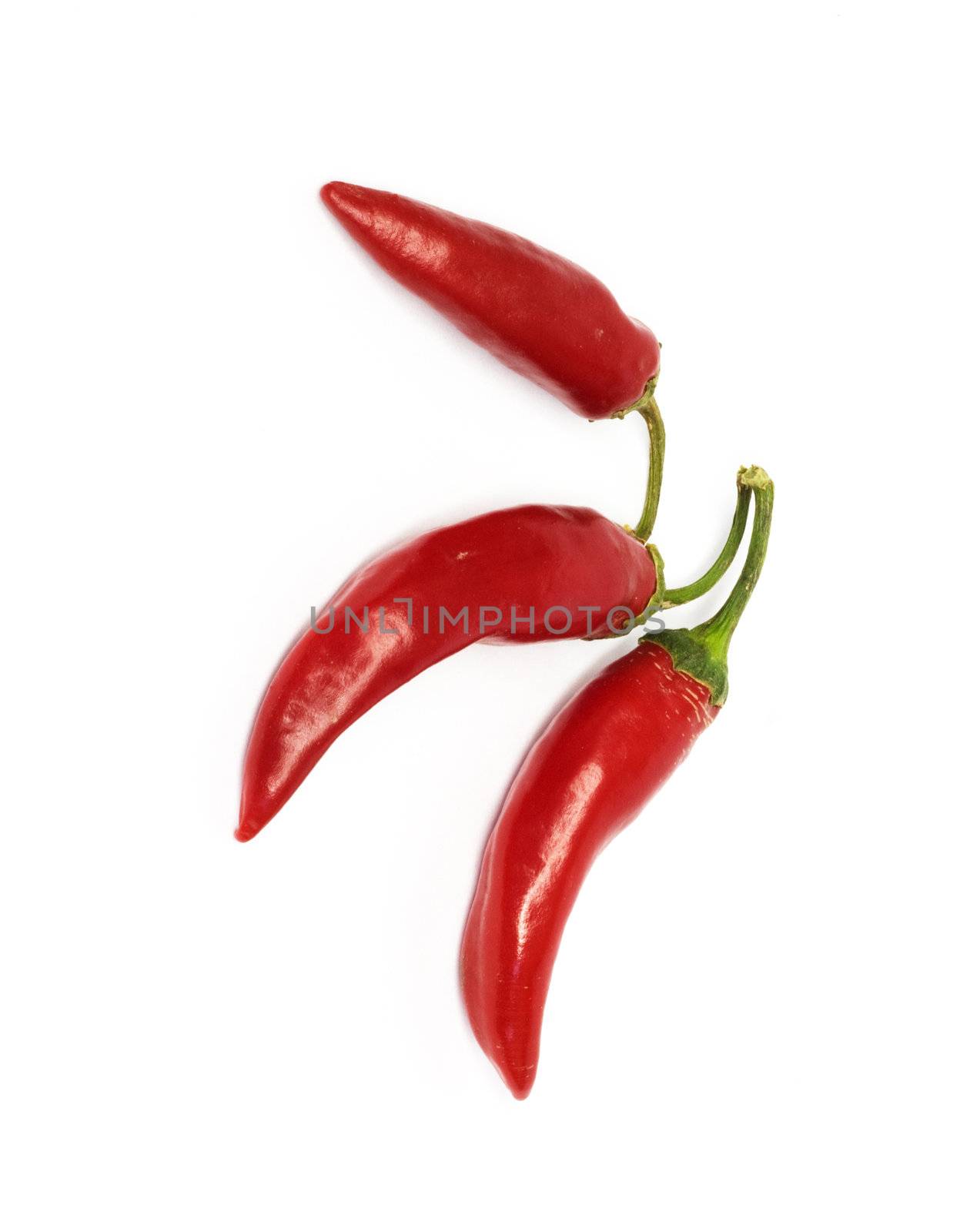 three hot chili peppers 