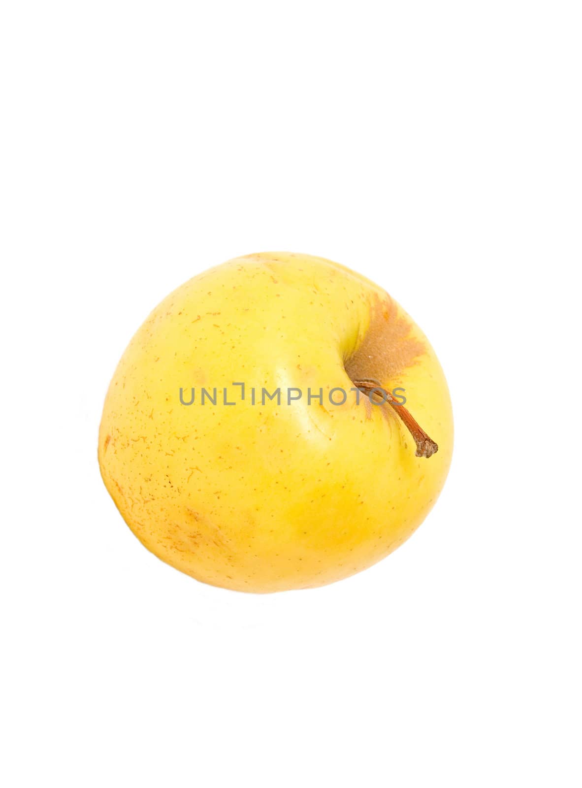 apple on a white background