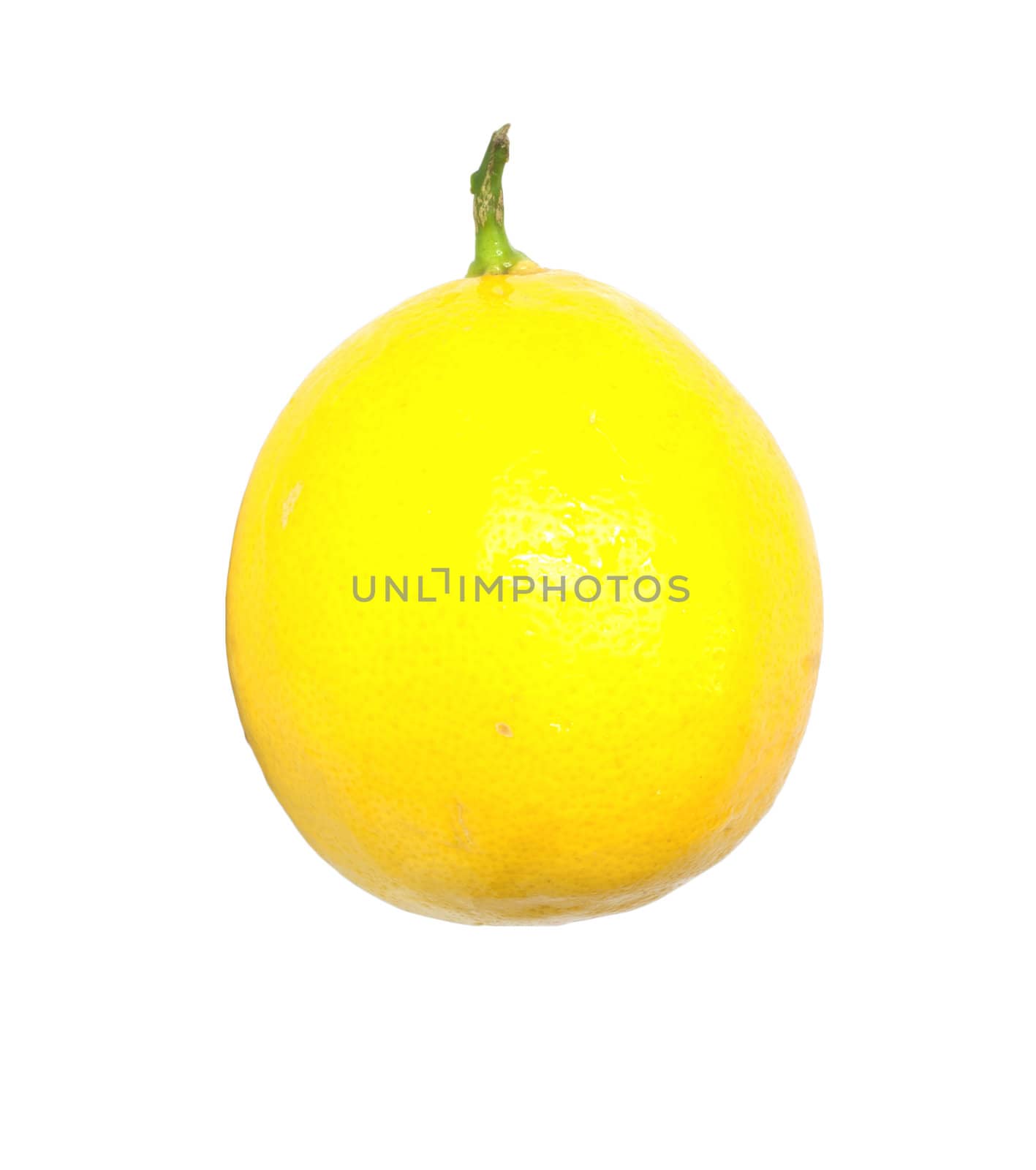 Lemon isolated on white background with copy space 