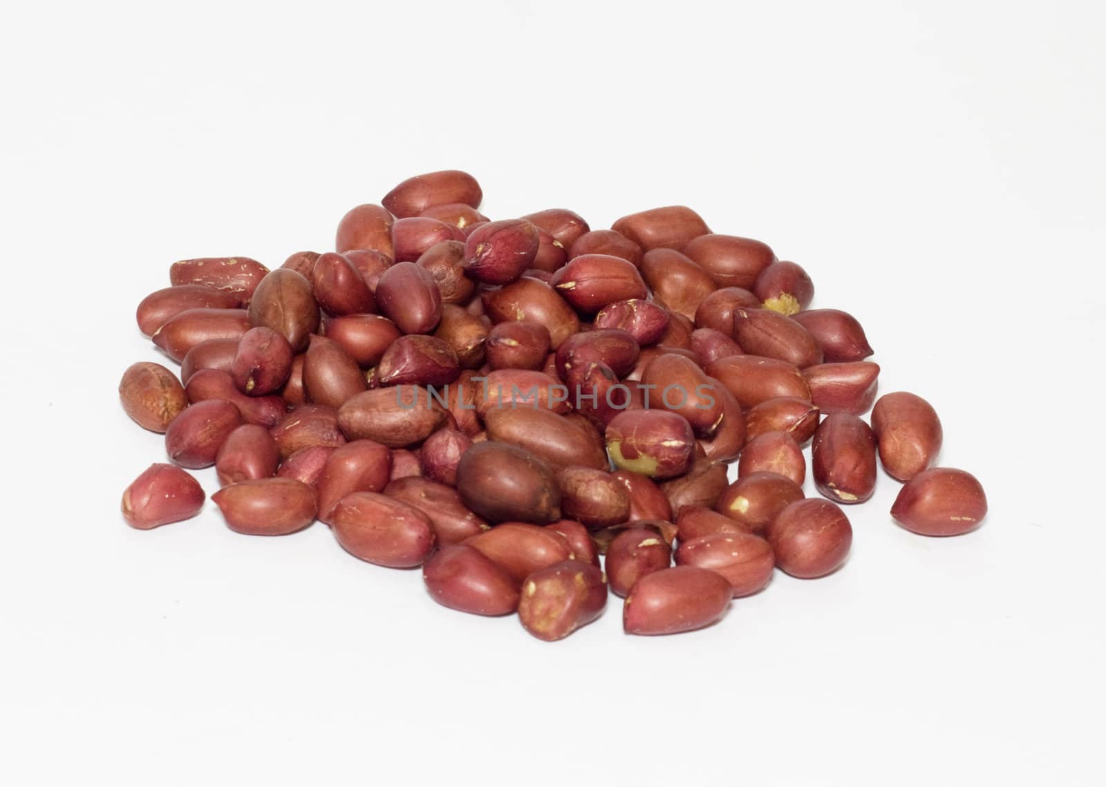 Peanut isolated on a white background