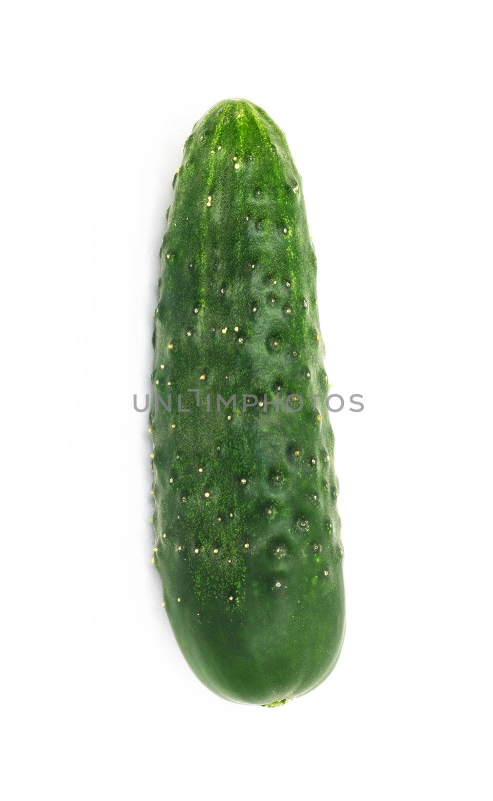 green cucumber, isolated on white background 