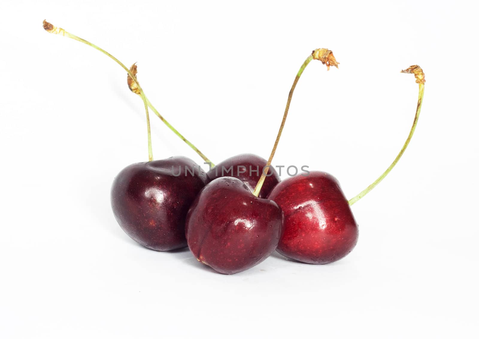 sweet cherry 