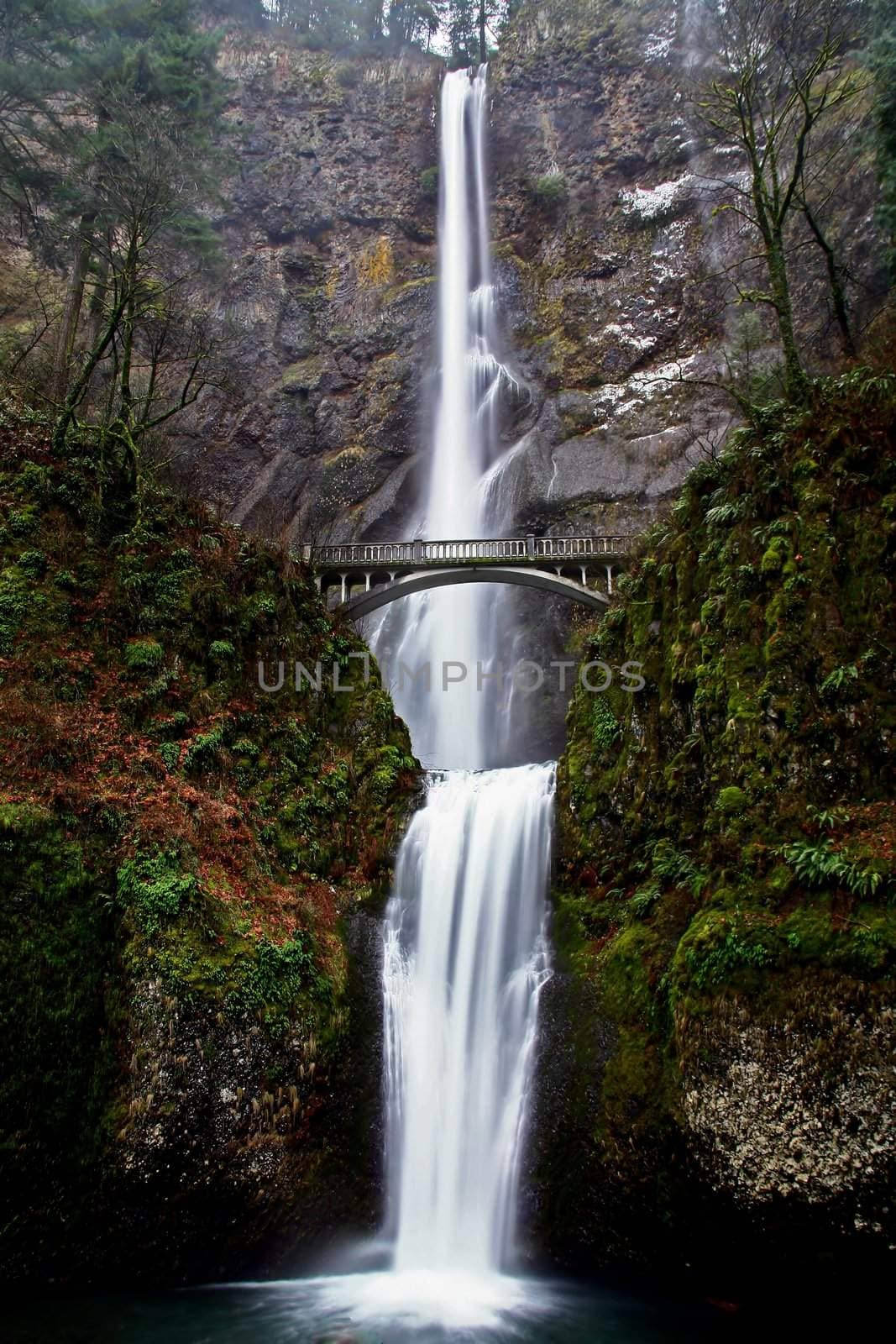 Multnomah Falls, OR taken in Winter.