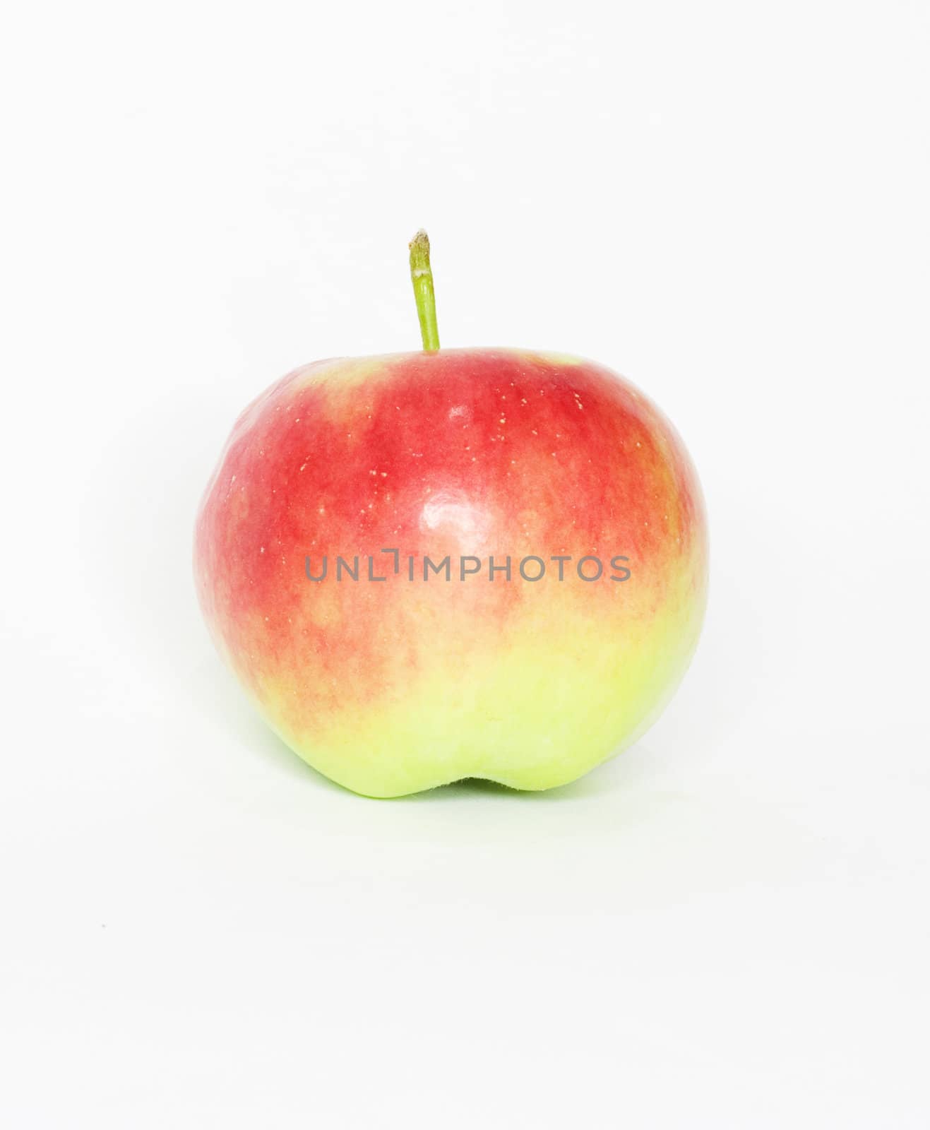 apple by schankz