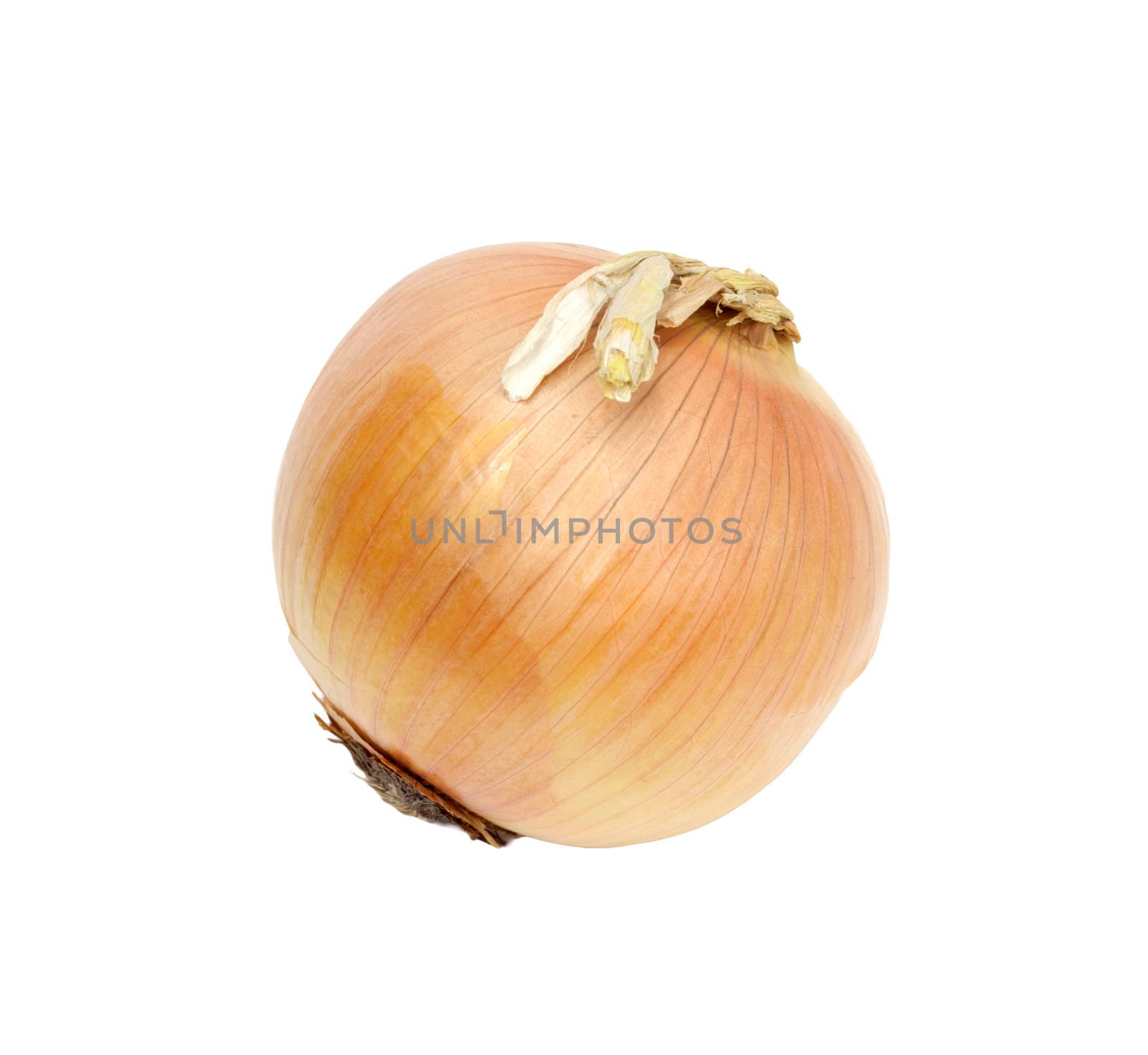 Ripe onion on a white background 