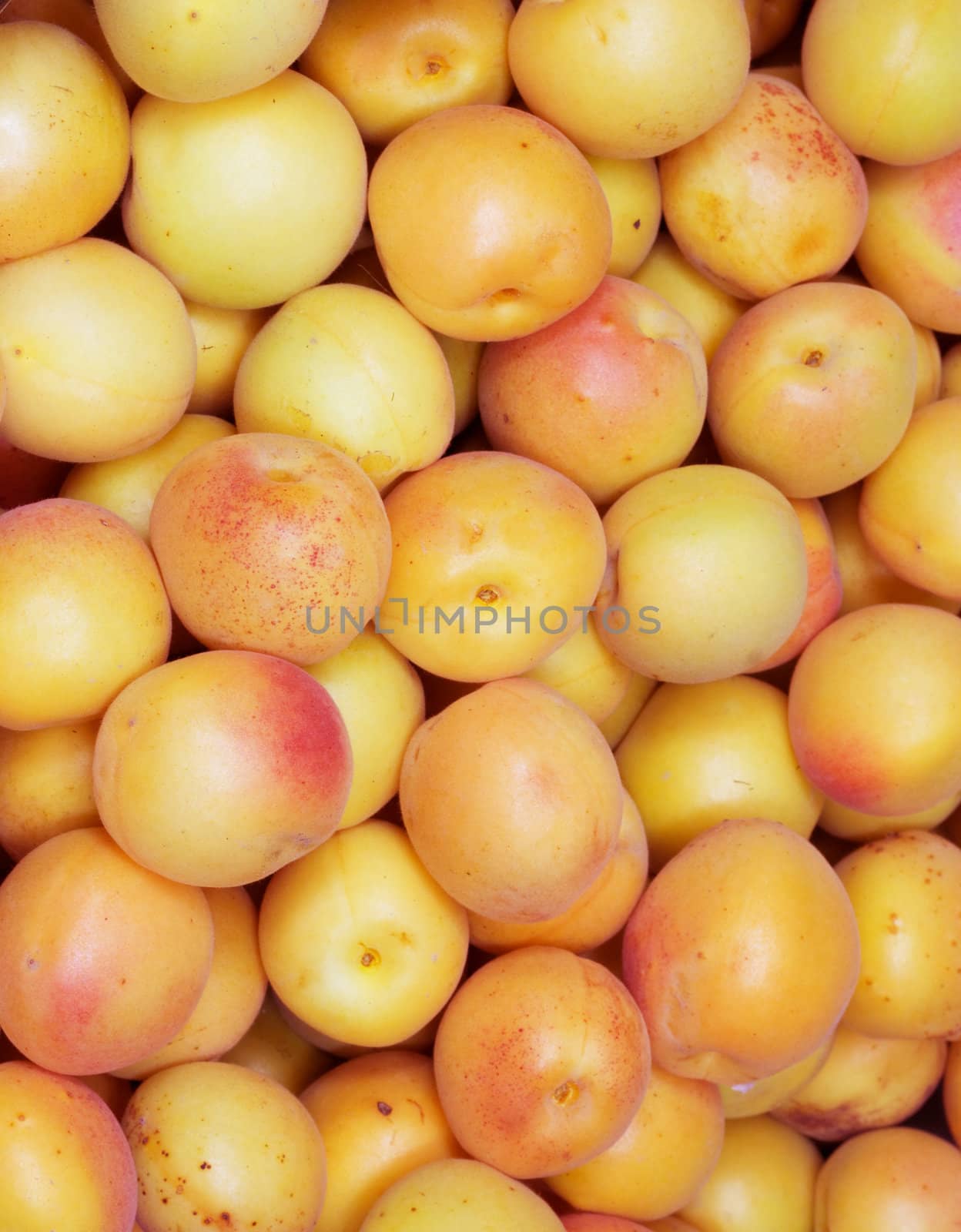 Fresh natural apricot background 