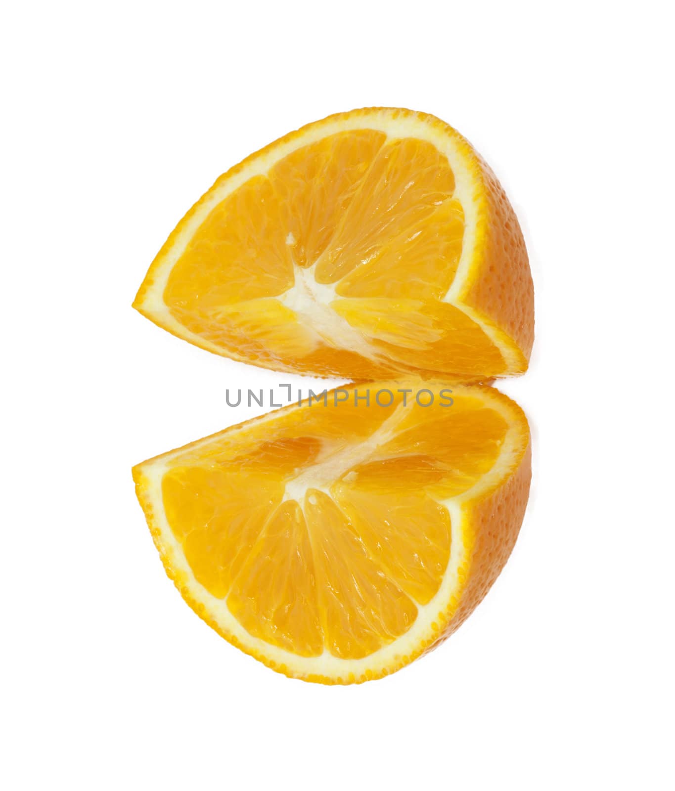 oranges on white background 