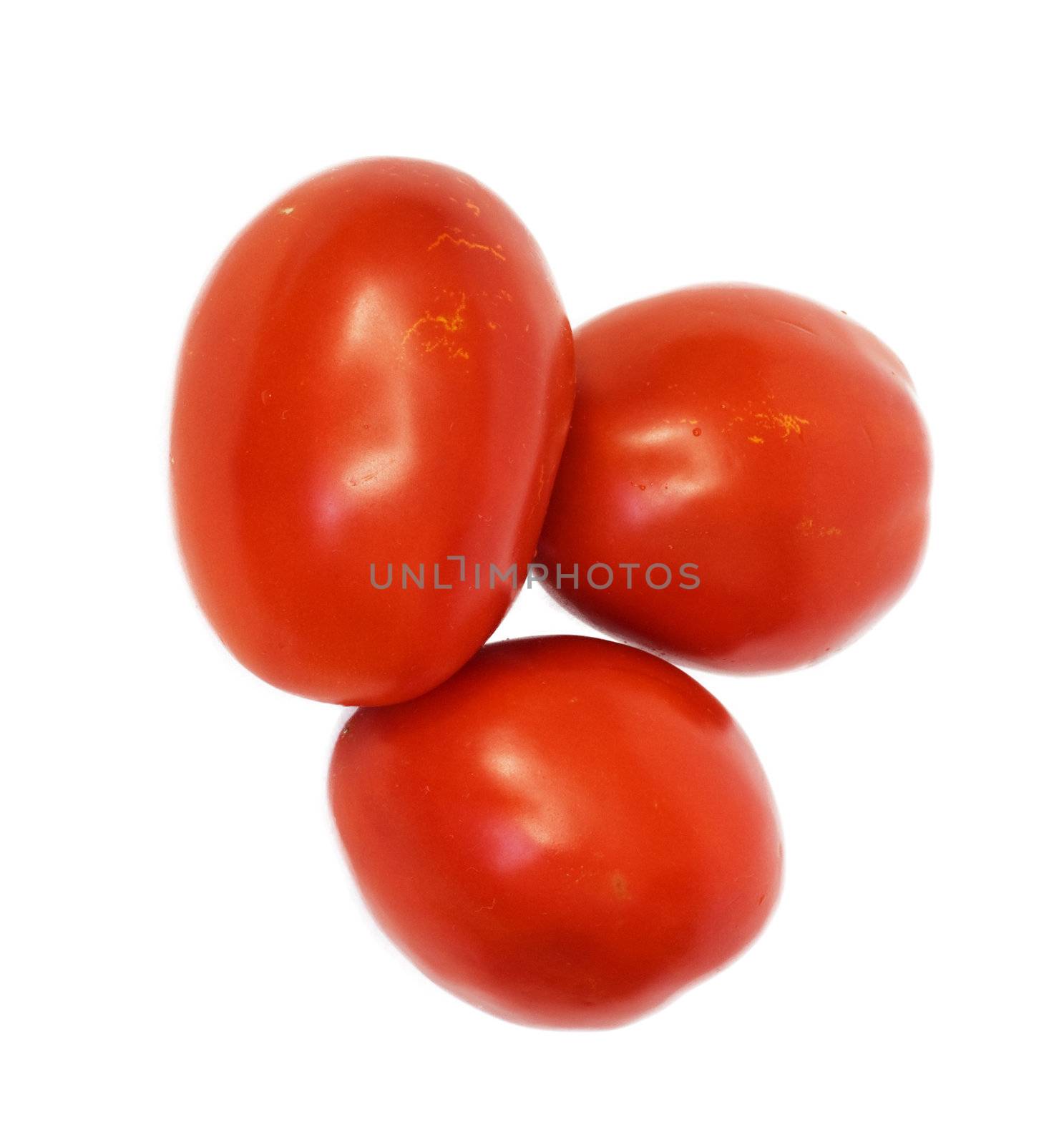 three tomatoes on white background  by schankz