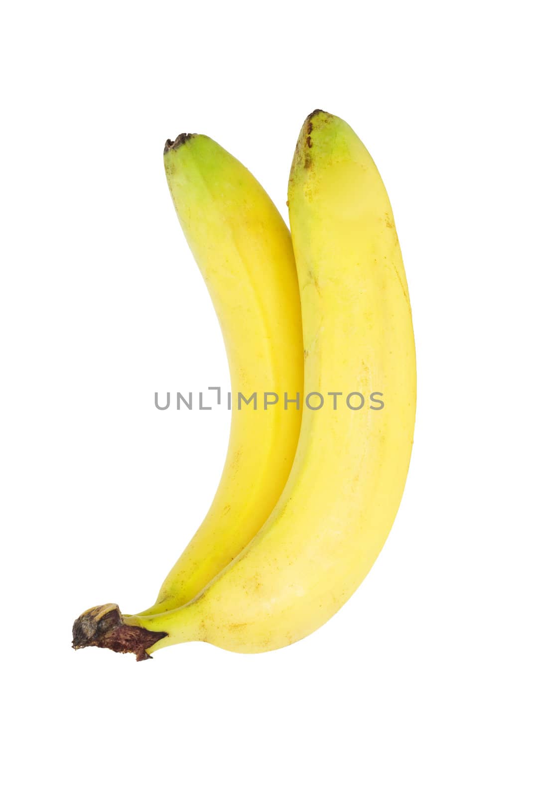 banana bundle 