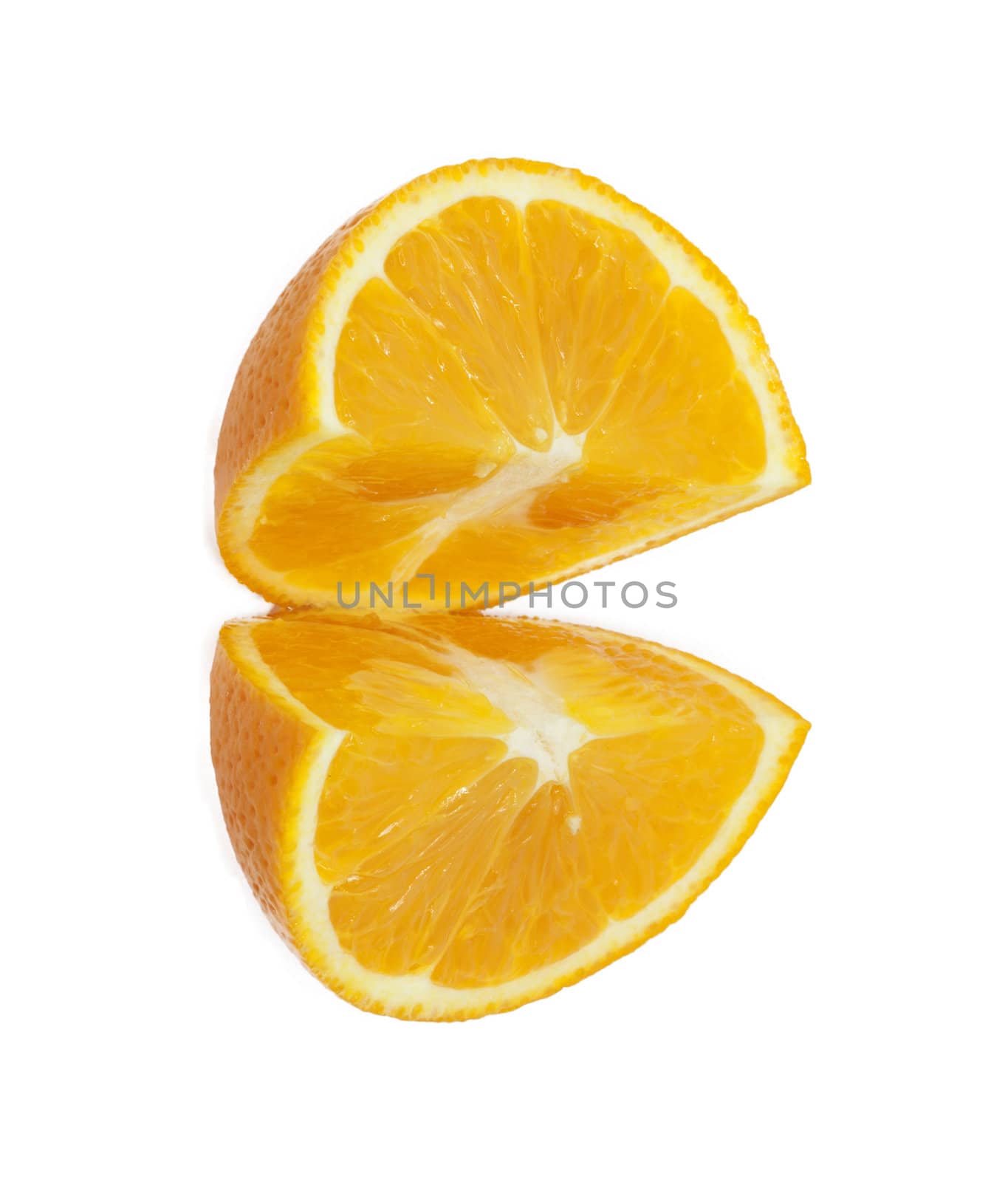 oranges on white background 