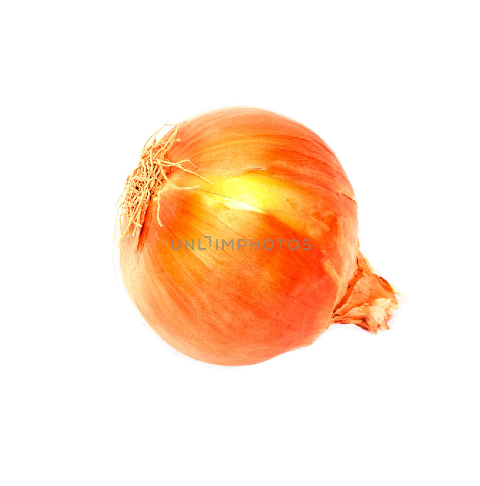 Ripe onion on a white background 