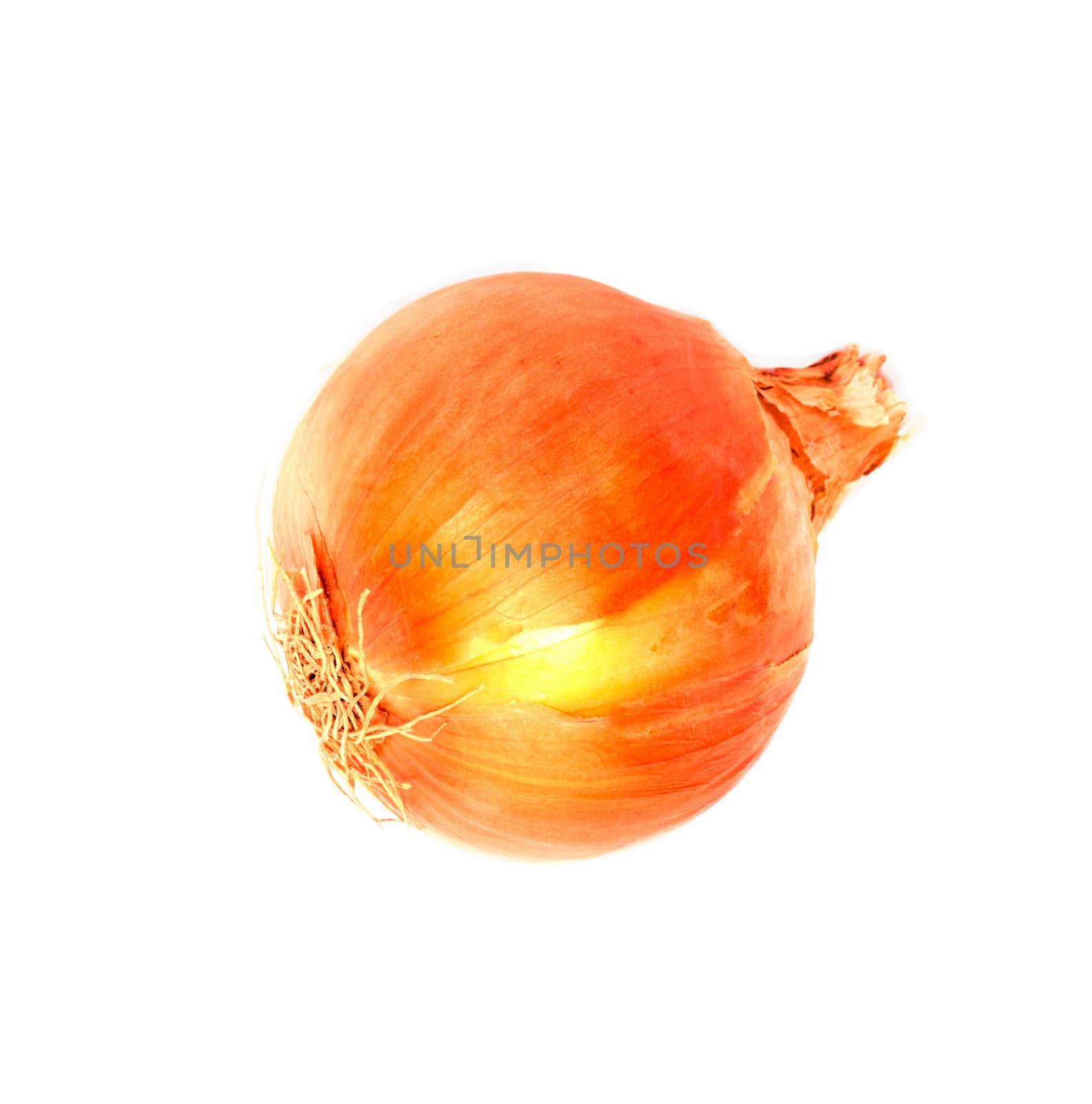 Ripe onion on a white background 